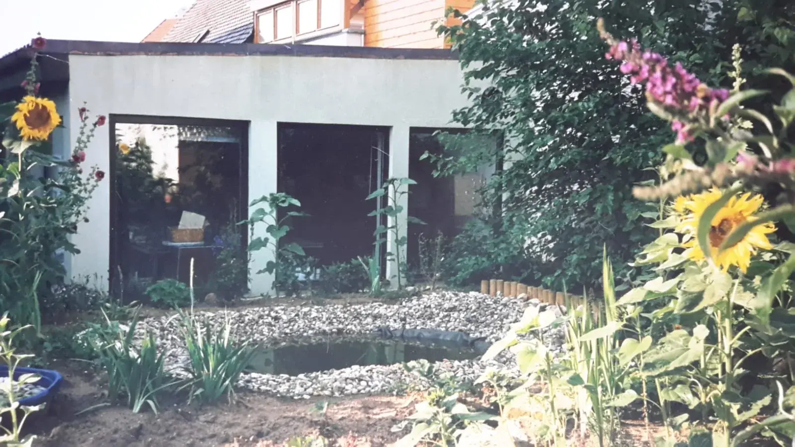 Low studio house with large windows behind a garden with sunflowers, foxgloves and a small pond
